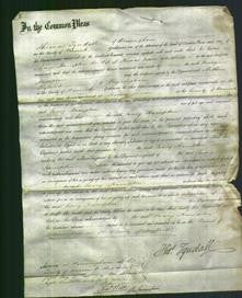 Court of Common Pleas - Mary Hampton Whitfield-Original Ancestry