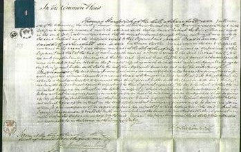 Court of Common Pleas - Rachael Lloyd-Original Ancestry