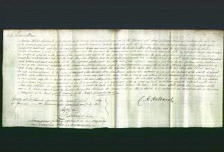 Court of Common Pleas - Mary Ann Holford-Original Ancestry