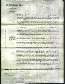 Court of Common Pleas - Mary Adkin-Original Ancestry