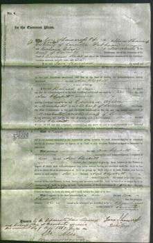 Court of Common Pleas - Ann Elizabeth Littlewood-Original Ancestry