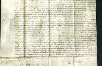 Court of Common Pleas - Elizabeth Morley-Original Ancestry