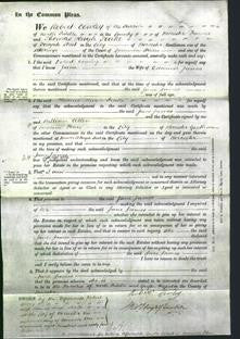 Court of Common Pleas - Jane James-Original Ancestry