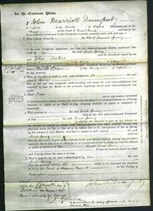 Court of Common Pleas - Sarah Spring-Original Ancestry