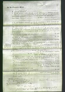 Court of Common Pleas - Margaret Morgan-Original Ancestry