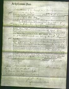 Court of Common Pleas - Ann Ingo-Original Ancestry