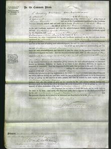 Court of Common Pleas - Catherine Sarah Heaven-Original Ancestry