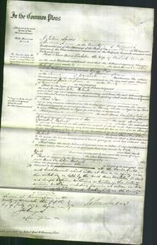 Court of Common Pleas - Anne Tarleton Roberts-Original Ancestry