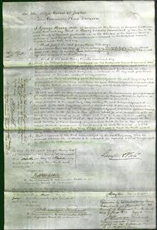 Court of Common Pleas - Lucy May-Original Ancestry