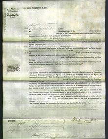 Court of Common Pleas - Louisa Kekewich-Original Ancestry