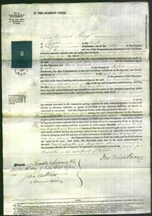 Court of Common Pleas - Jane Branington and Mary Anne Allen-Original Ancestry