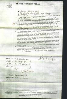 Court of Common Pleas - Alice Maria Richardson-Original Ancestry