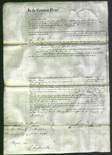 Court of Common Pleas - Elizabeth Warton Stock-Original Ancestry