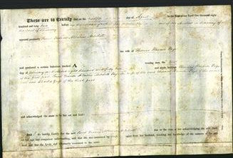 Deed by Married Women - Sarah Frances Albertine Mitchell Page-Original Ancestry