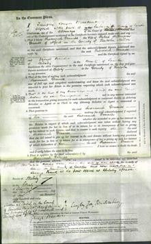 Court of Common Pleas - Susannah Denniss-Original Ancestry