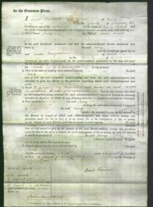 Court of Common Pleas - Mary David-Original Ancestry