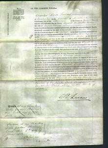 Court of Common Pleas - Elizabeth Constantia Harvey-Original Ancestry