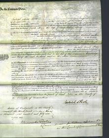 Court of Common Pleas - Sarah Mogg-Original Ancestry