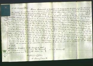 Court of Common Pleas - Hannah White-Original Ancestry