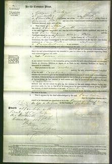 Court of Common Pleas - Caroline Smith-Original Ancestry