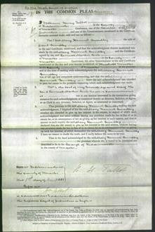 Court of Common Pleas - Mary Hannah Brindley-Original Ancestry