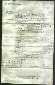 Court of Common Pleas - Margaret Presswell-Original Ancestry