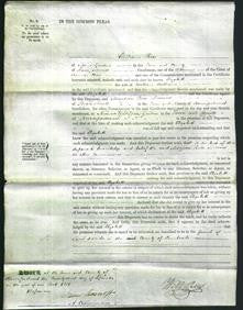 Court of Common Pleas - Elizabeth Williams-Original Ancestry