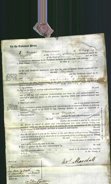 Court of Common Pleas - Elizabeth Young-Original Ancestry