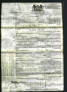 Court of Common Pleas - Laura Georgiana Glynn-Original Ancestry