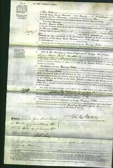 Court of Common Pleas - Fanny Cutler-Original Ancestry