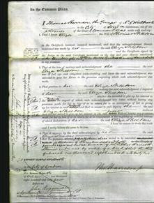 Court of Common Pleas - Eliza Sheeton-Original Ancestry
