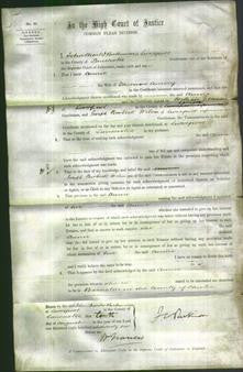 Court of Common Pleas - Annie Amery-Original Ancestry