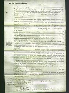 Court of Common Pleas - Jennett Jones-Original Ancestry