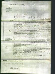 Court of Common Pleas - Elizabeth Robinson and Martha Booth-Original Ancestry