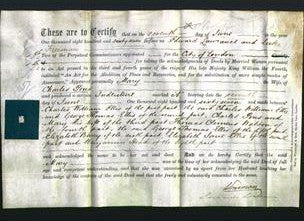 Court of Common Pleas - Mary Pons-Original Ancestry
