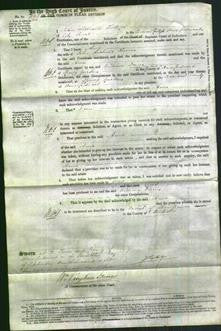 Court of Common Pleas - Anne Thomas-Original Ancestry