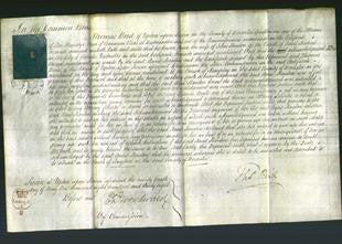 Court of Common Pleas - Anne Stanton-Original Ancestry