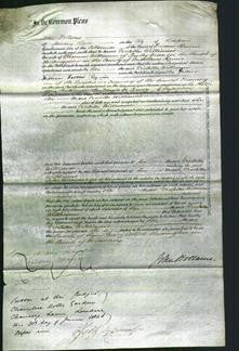 Court of Common Pleas - Violetta Williams-Original Ancestry