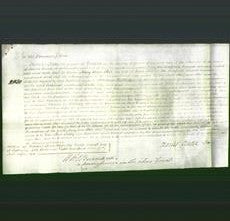 Court of Common Pleas - Mary Ann Steer-Original Ancestry