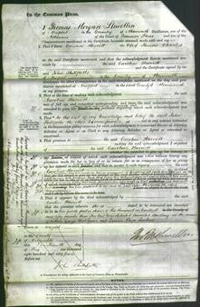 Court of Common Pleas - Caroline Harriett Charles-Original Ancestry