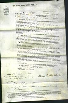 Court of Common Pleas - Mary Ann Frances Jackson-Original Ancestry