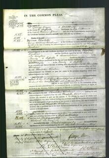 Court of Common Pleas - Charlotte Kershaw-Original Ancestry