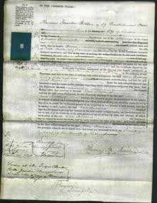 Court of Common Pleas - Ann Rivers Wallace-Original Ancestry