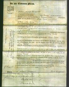 Court of Common Pleas - Lucy Tyars Horan-Original Ancestry