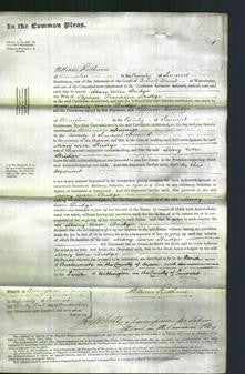 Court of Common Pleas - Mary Were Bridge-Original Ancestry