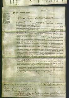 Court of Common Pleas - Eliza Ditchburn-Original Ancestry