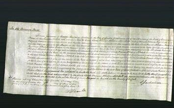 Court of Common Pleas - Sarah Frances Albertine Mitchell Page-Original Ancestry