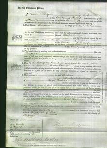 Court of Common Pleas - Theodosia Hulme-Original Ancestry