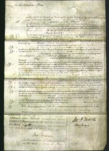 Court of Common Pleas - Sarah Delamere-Original Ancestry