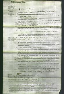 Court of Common Pleas - Jane Blizard-Original Ancestry